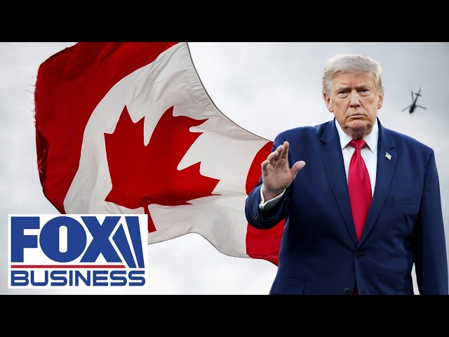 'RETALIATORY MEASURE': Stephen Moore on Trump's tariffs on Canada