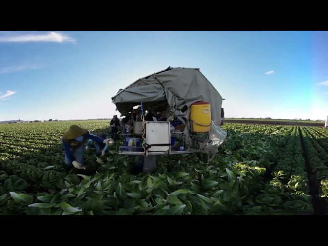 Agribots The Rise, The Future