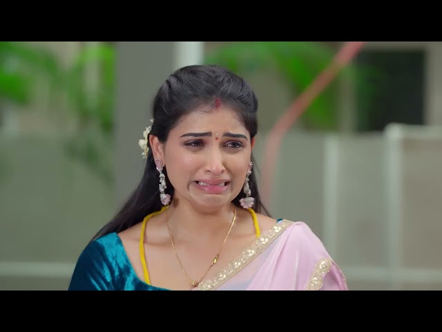 Karthigai Deepam - Full Ep - 990 - Karthikeyan, Deepa, Abirami - Zee Tamil