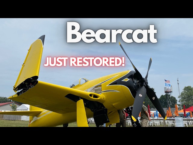 Restored 2000 HP Navy Aircraft - Head-turner OSH26