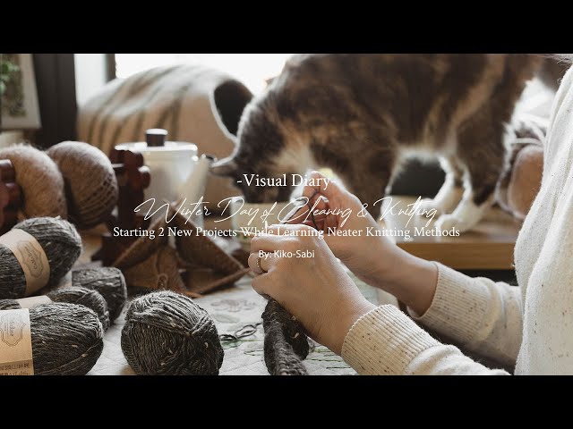 Visual Diary 104 | Winter Day of Cleaning & Knitting | Learning Neater Way to Knit 2 New Projects