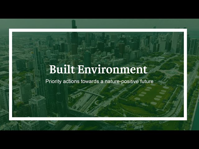 How the Built Environment system can contribute towards a nature-positive future