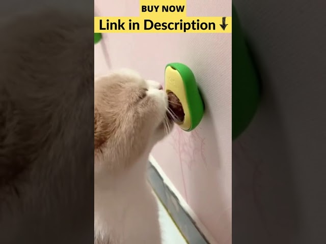 Catnip Ball | Chewable Pet gadget #shorts