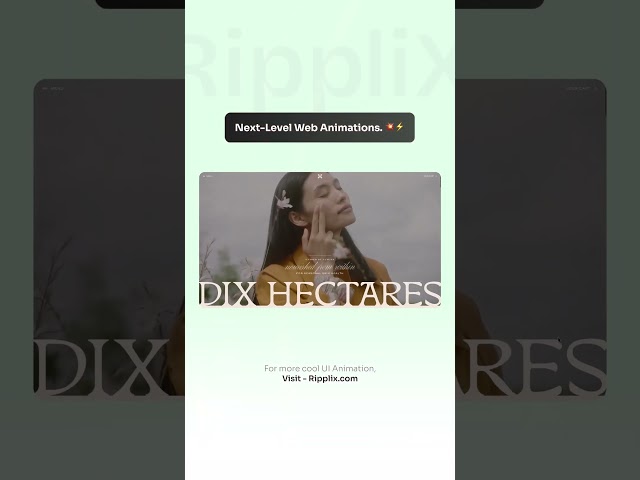 Web Design Peaked with this Animation 🏔️