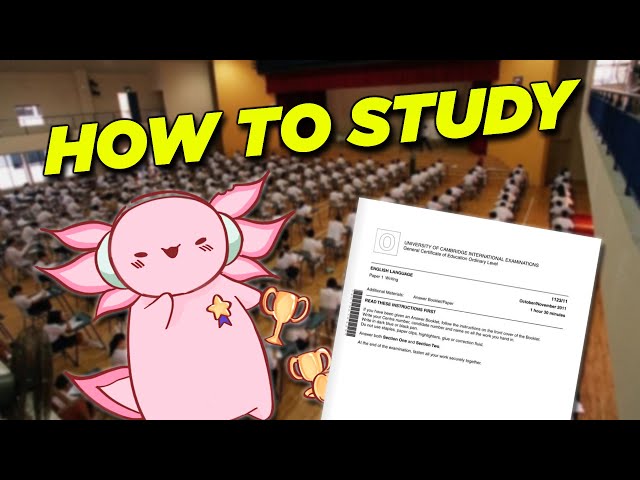 My BEST Exam Strategy (the lazy man's method)