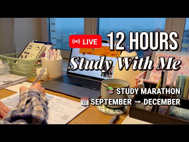 12-HOUR STUDY WITH ME 🔴 LIVE | Pomodoro 50/10 🌧️ Rain Ambience