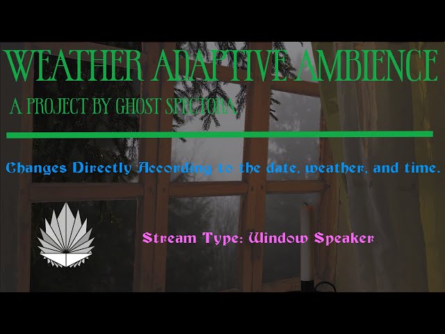 Cozy Reading Nook On A Cool Winter Day | Adaptive Ambience (Window Speaker)