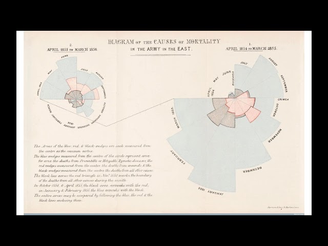 Data Visualization Beyond Tools Principles and Approaches