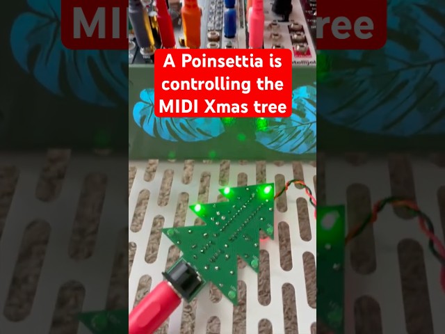 Plant controls MIDI Xmas Tree