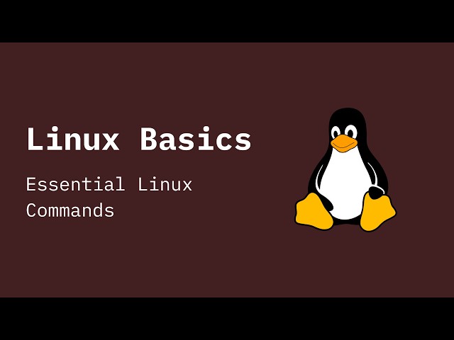 Linux Basics : #4 Essential Linux Commands