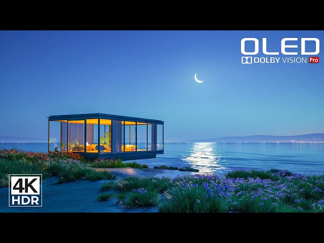 Ultimate 4K HDR Video 120FPS | Dolby Vision OLED Test Demo