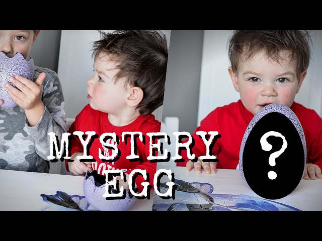 Unboxing a Mystery Dragon Egg | How to Train Your Dragon