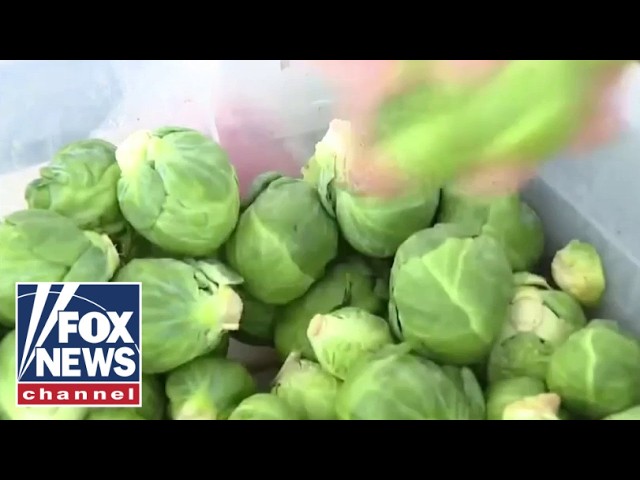 Health expert says DON'T PANIC as parasite cases raise concern