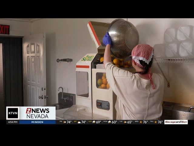 Florida's oranges are slowly disappearing
