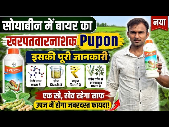 सोयाबीन में बायर का Pupon Herbicide की सारी जानकारी डोज , प्राइज, कैसे काम करता है/pupon bayer 