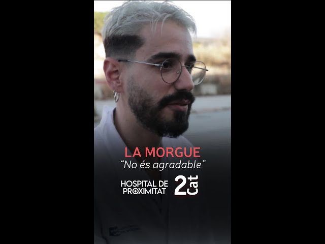 Els portalliteres baixen a la morgue