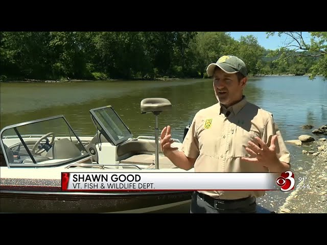 Meet Vermont's First Master Angler. WCAX Wildlife Watch segment on Vermont's Master Angler Program.