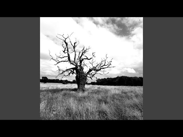 Dakota (Trance edit)