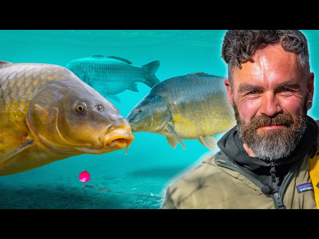Gaz Fareham’s Rigs, Bait & Tactics under the microscope at Linear Fisheries