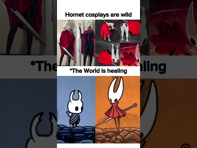 Hollow knight silksong cosplays are best #hollowknight #silksong #gaming