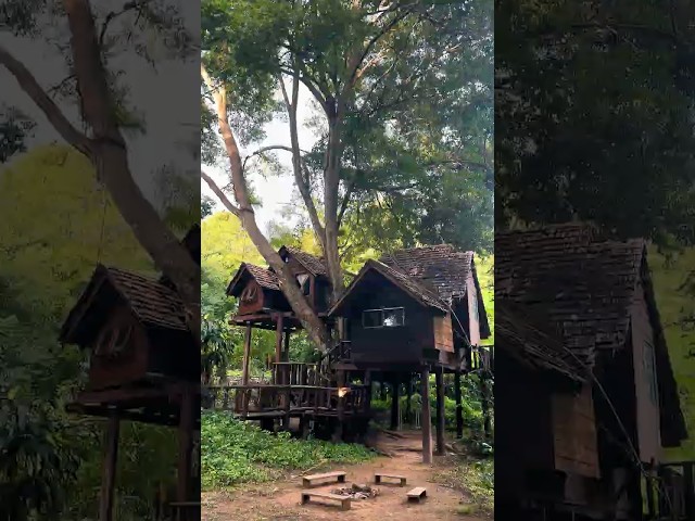 Star house #chiangmaitreehouse #Rabeangpasak