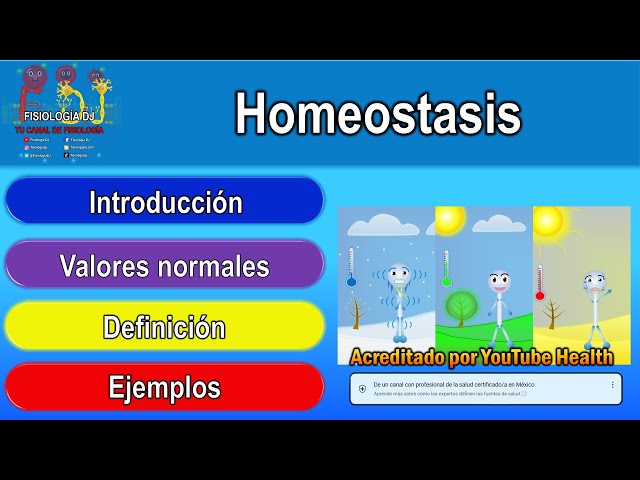 Homeostasis | Homeostasis fisiología | Homeostasis y medio interno