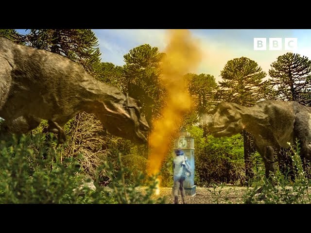 T-Rex and Roar | Andy's Dinosaur Adventures | Andy's Amazing Adventures