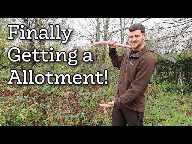 Finally getting an allotment after 4 years on the waiting list