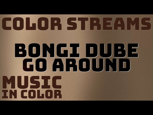 Go Around - Bongi Dube