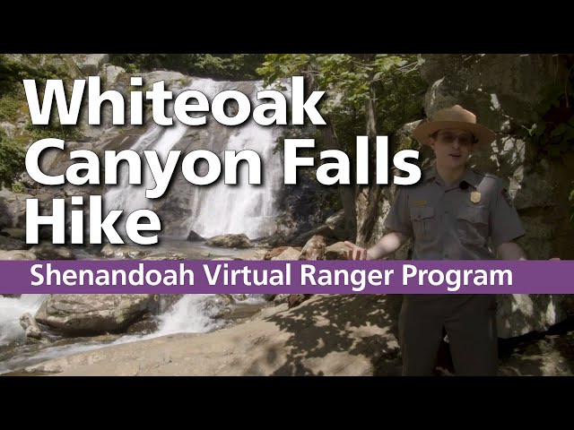 Virtual Ranger Program: Whiteoak Canyon Falls Hike