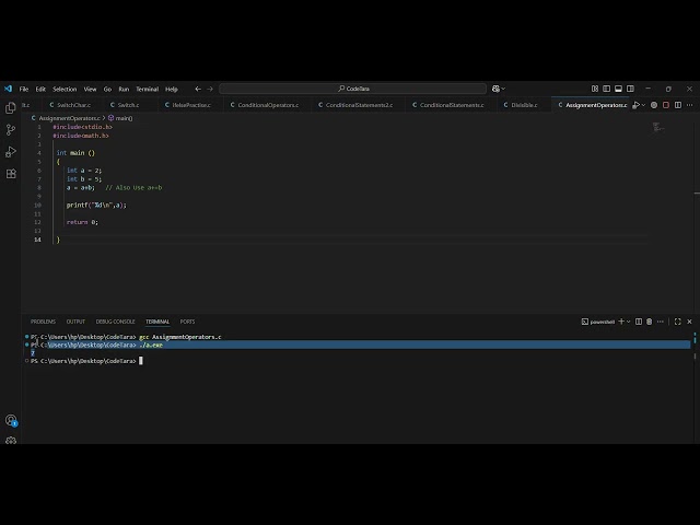Print Assignment Operators + C Language   CodeTara