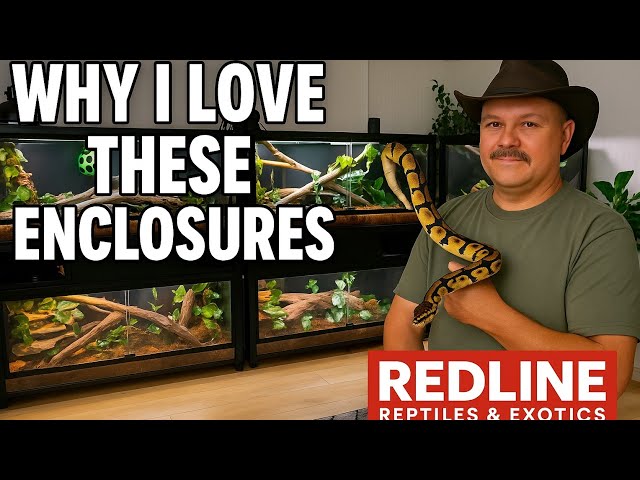 “ Why I Genuinely Love These Enclosures”