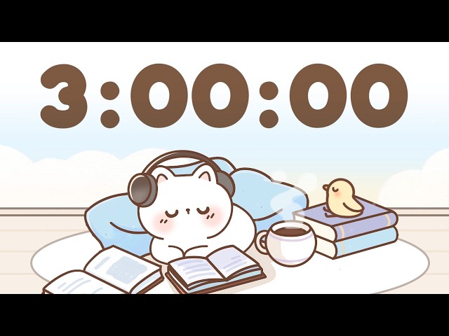 3 Hour Timer 🐱 3 Hr Study Timer for Classroom Focus