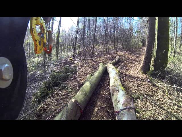 [GoPro] Working in the woods