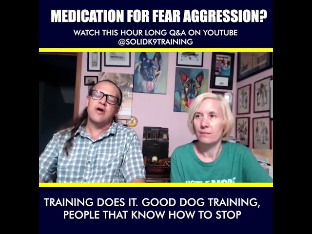 Dog Medication and fear aggression | Dog Training Bites