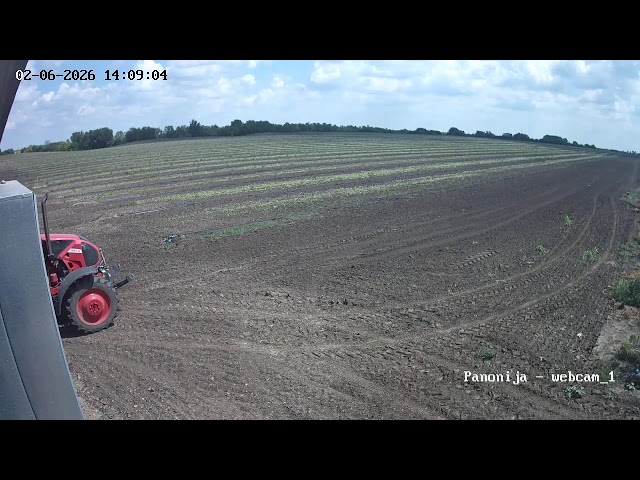 Panonija Walnut Plantation - Live Stream 1