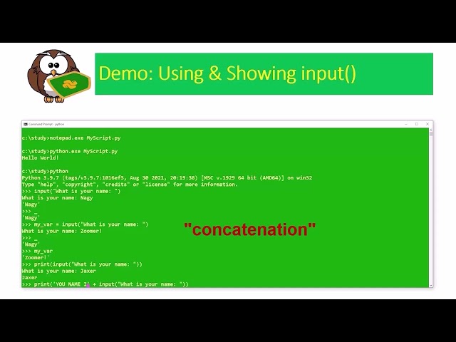 Session 03: Accepting & Managing User Inputs