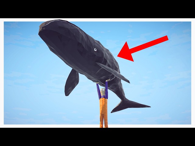 We Finally Learned How to Fish
