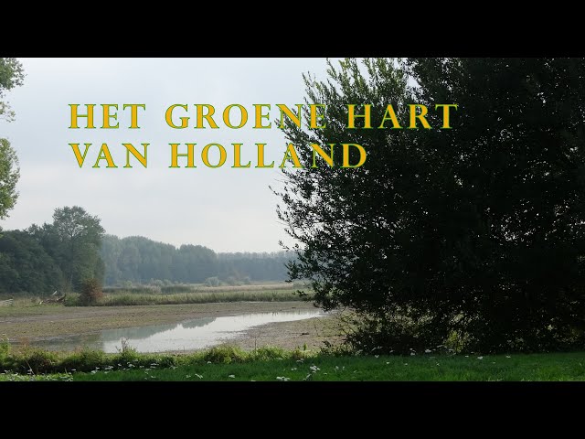Het groene hart