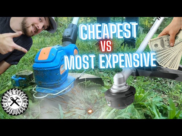 I Got the Cheapest Battery powered String Trimmer comparison