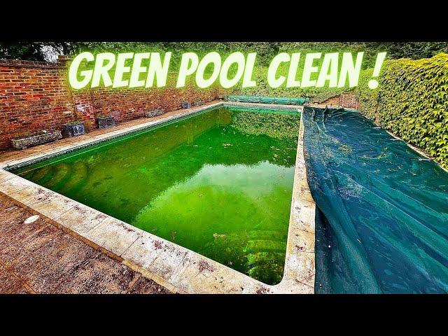 GREEN POOL CLEAN With a review of the Dreame Z1 Pro 😎😎