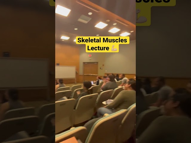 Skeletal Muscles Lecture! Are you ready to see the muscles in action?💪🏼