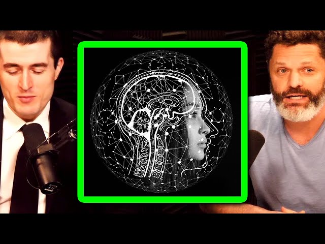 Collective intelligence of human civilization | Daniel Schmachtenberger and Lex Fridman