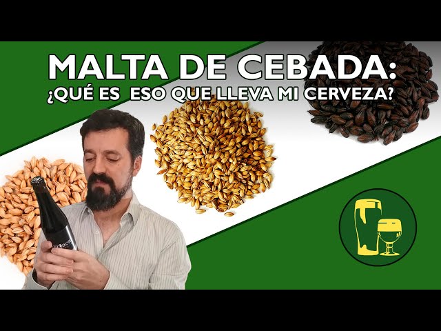 Tu cerveza contiene MALTA DE CEBADA. ¿Sabes lo que es?