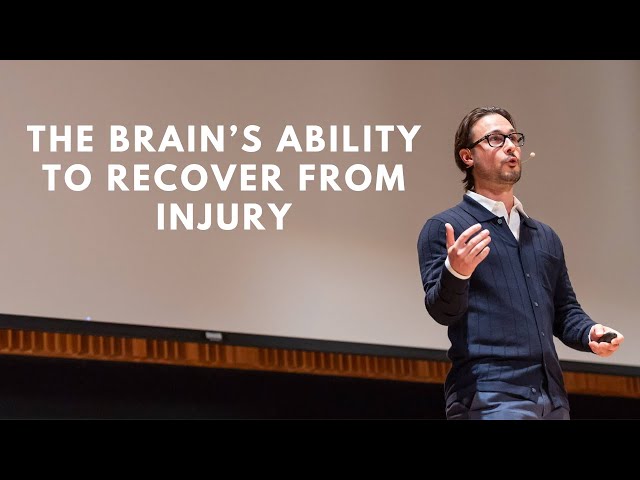 The Brain's Ability to Recover from Injury | Matthew Galati | Amazing Brain Science Talks