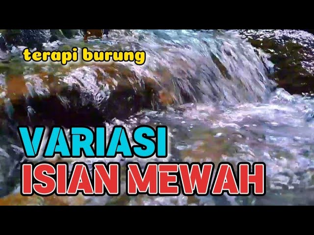 Terapi burung variasi isian mewah, terapi air untuk semua jenis burung