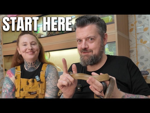 Meet Andy and Morgan | Liverpool Reptiles