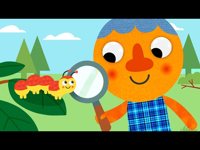 Crawl Like A Caterpillar 🐛 | Noodle & Pals | Songs For Children