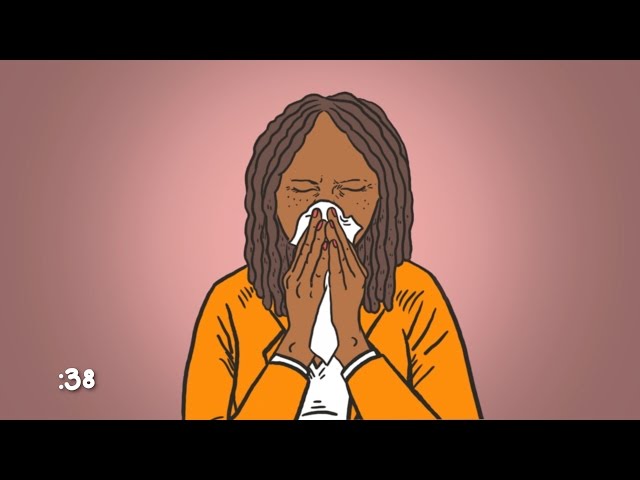 How Do Allergies Work?