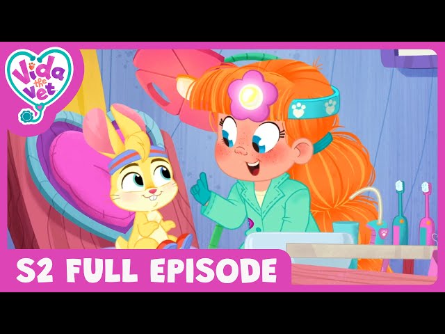 Daphne's Dental Day 🦷 | S2 FULL EPISODES | Vida the Vet | S2 E21 | Kid's Animation